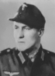 Wiedemann Heinrich